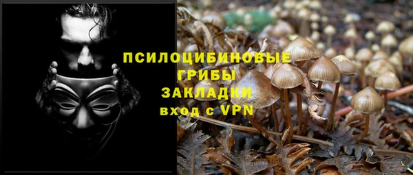 молекула духа Армянск