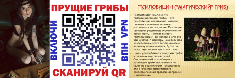 Купить закладки  Сретенск  Псилоцибиновые грибы Magic Shrooms 
